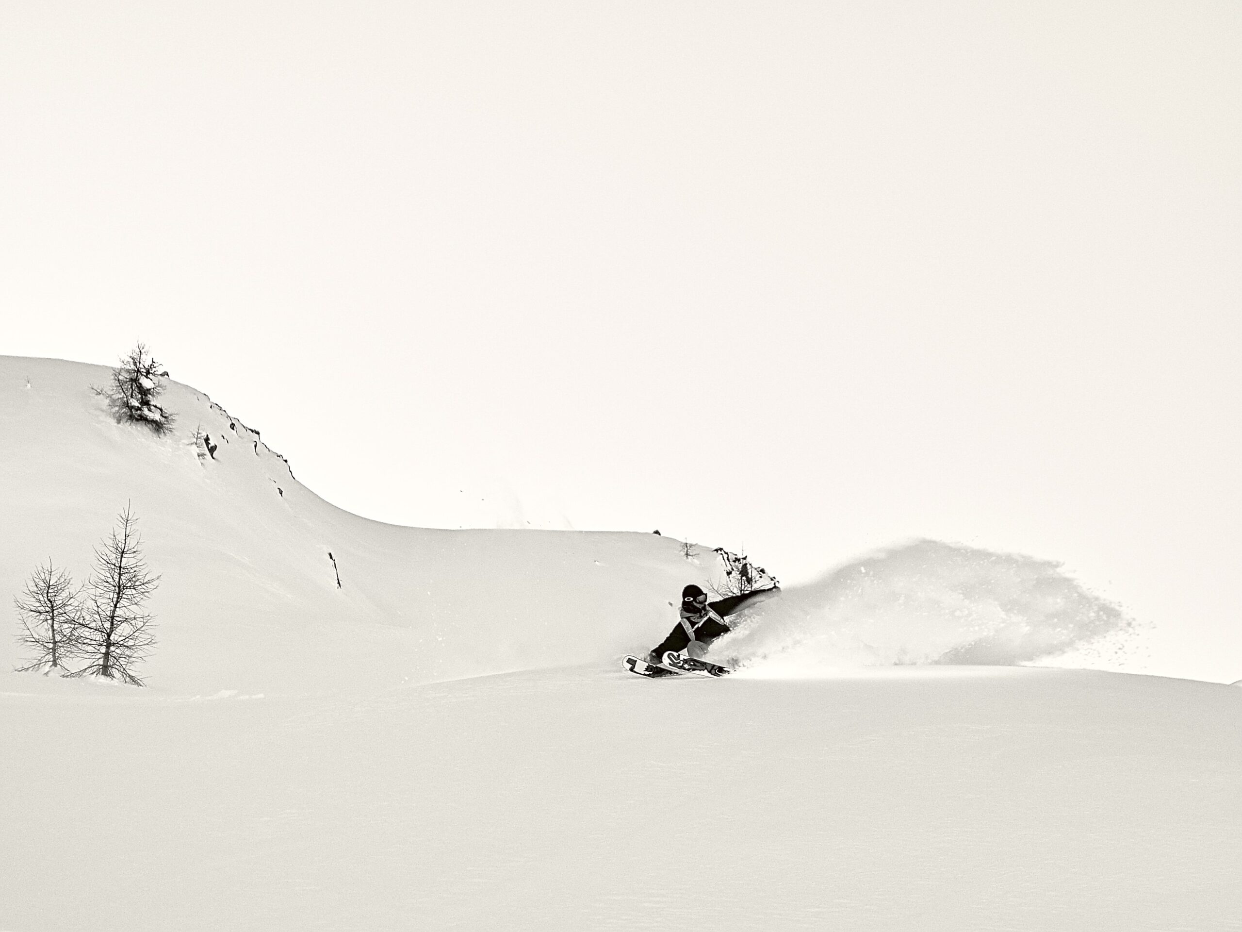 _DSC0568_01